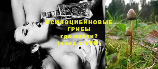 сатива Абдулино