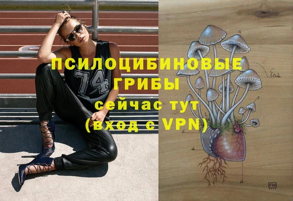 ПСИЛОЦИБИНОВЫЕ ГРИБЫ Абинск